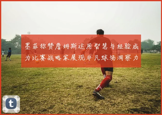 墨菲称赞詹姆斯运用智慧与经验成为比赛战略家展现非凡球场洞察力